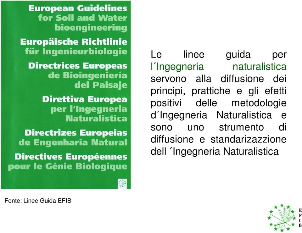 metodologie d Ingegneria Naturalistica e sono uno strumento di