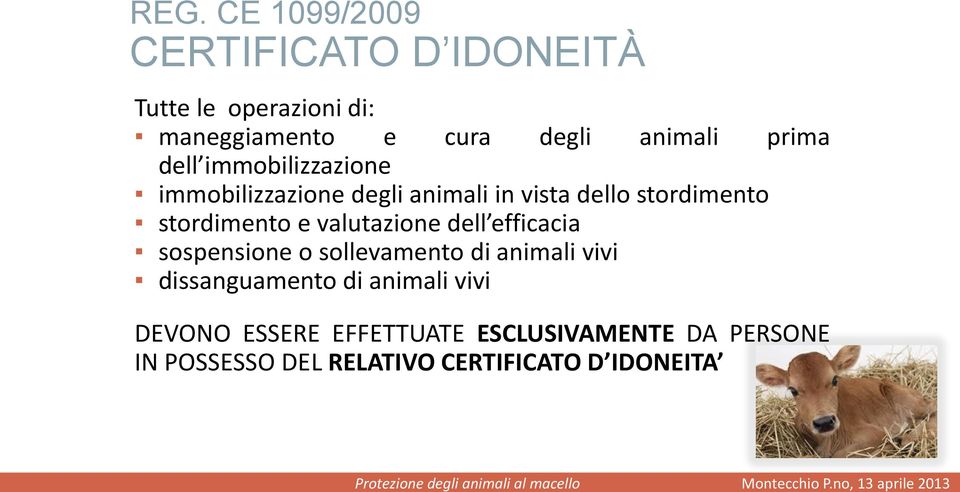 valutazione dell efficacia sospensione o sollevamento di animali vivi dissanguamento di animali