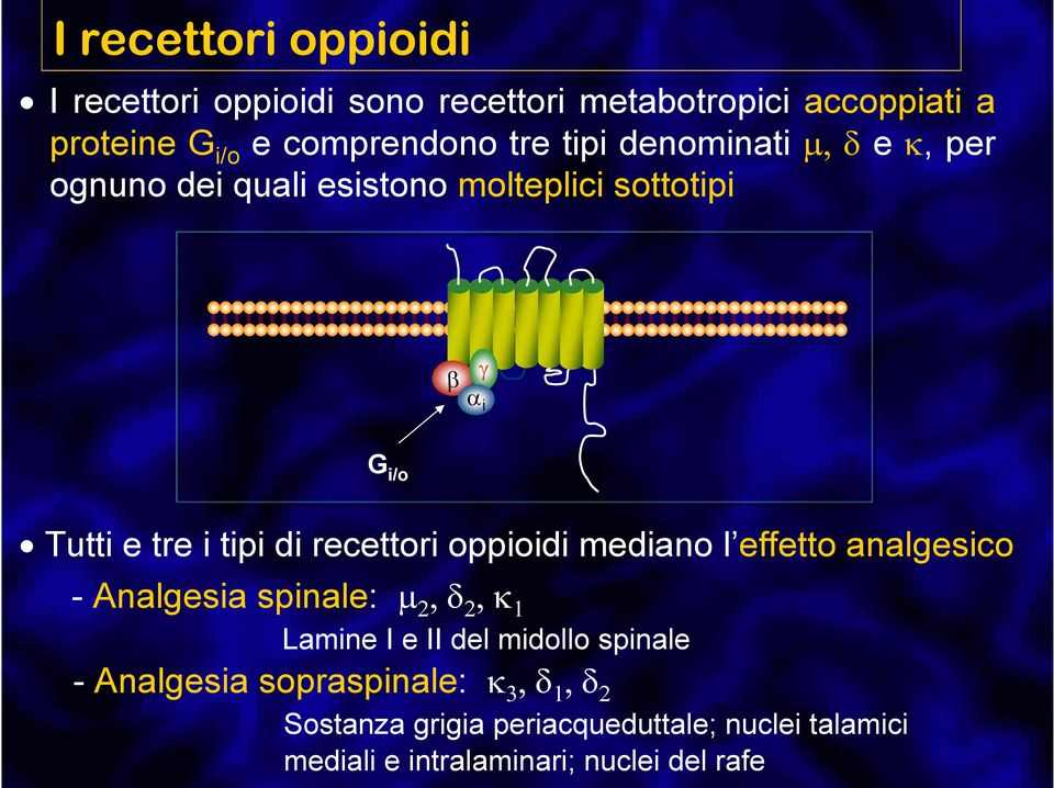 recettori oppioidi mediano l effetto analgesico - Analgesia spinale: µ 2, δ 2, κ 1 Lamine I e II del midollo spinale -