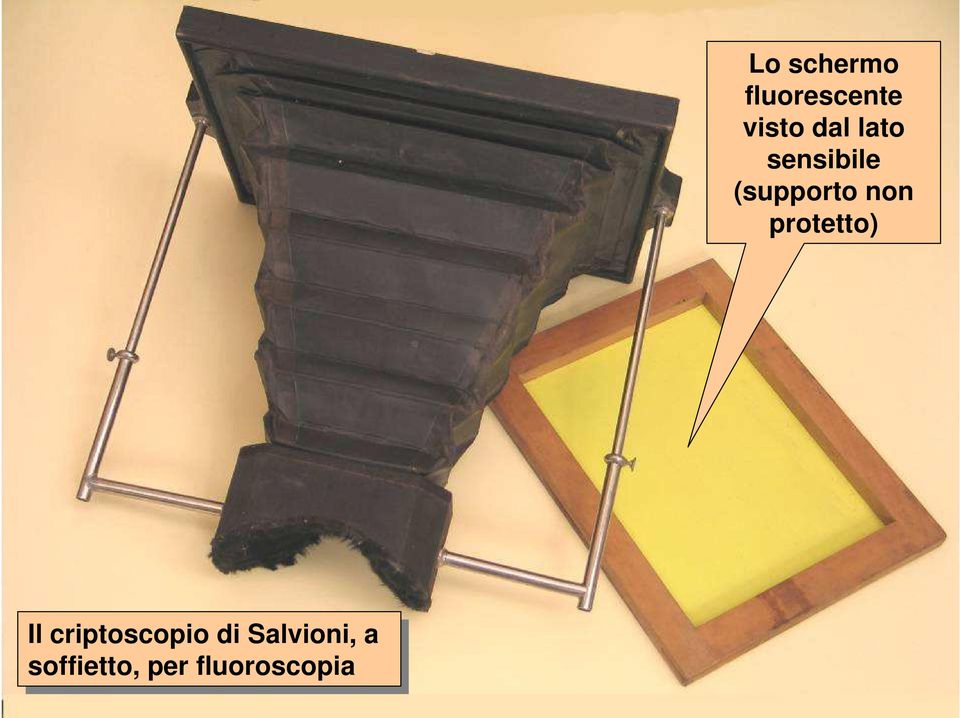 protetto) Il Il criptoscopio di di