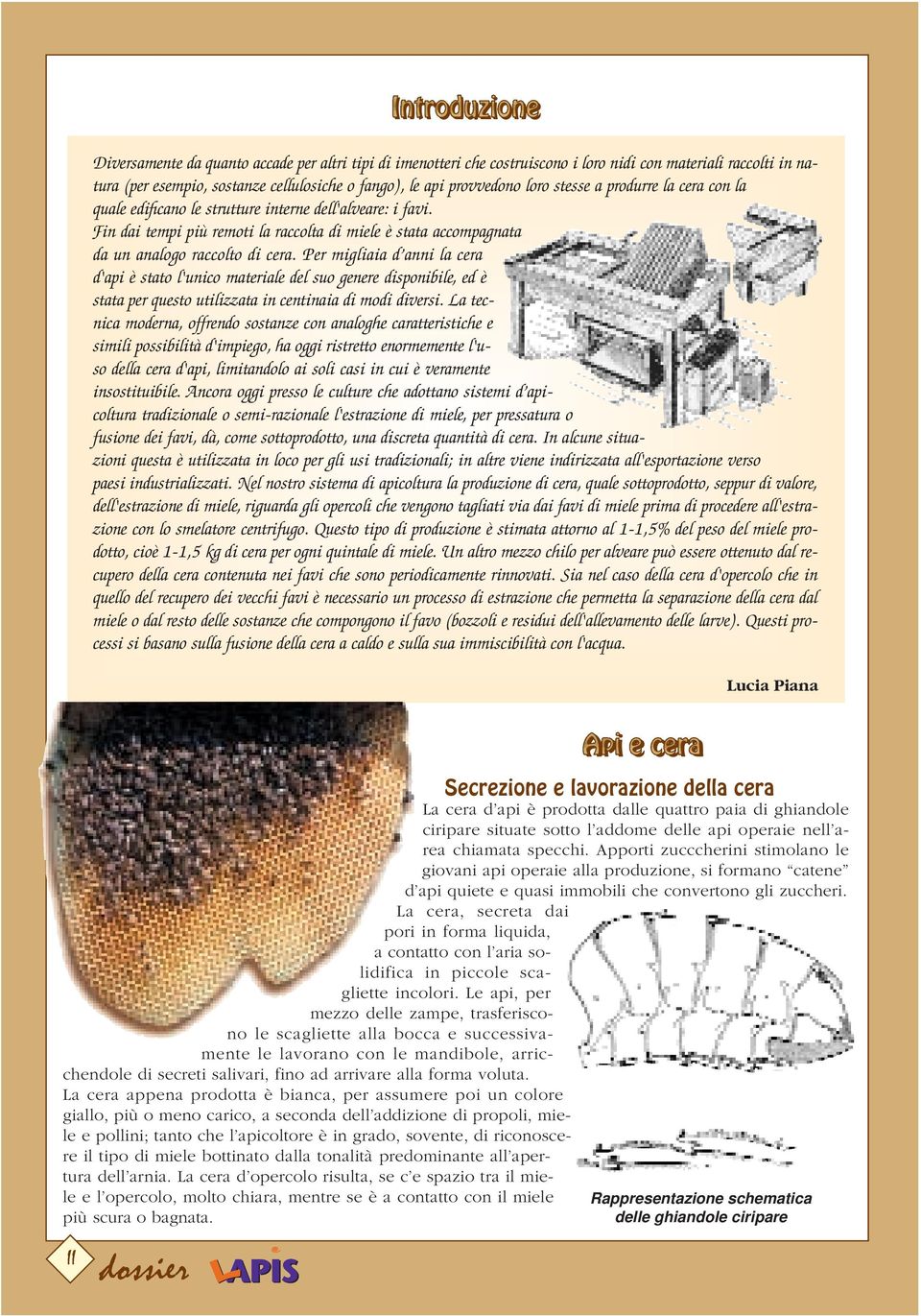 Per migliaia d anni la cera d'api è stato l'unico materiale del suo genere disponibile, ed è stata per questo utilizzata in centinaia di modi diversi.