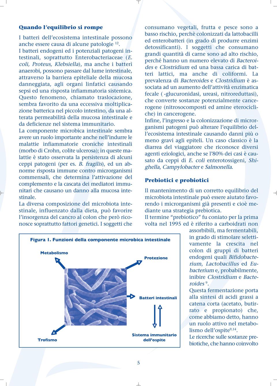 coli, Proteus, Klebsiella), ma anche i batterì anaerobi, possono passare dal lume intestinale, attraverso la barriera epiteliale della mucosa danneggiata, agli organi linfatici causando sepsi ed una