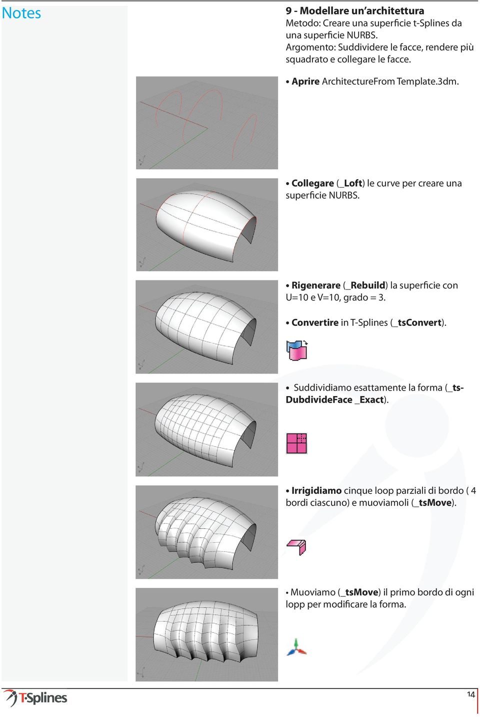 Collegare (_Loft) le curve per creare una superficie NURBS. Rigenerare (_Rebuild) la superficie con U=10 e V=10, grado = 3.