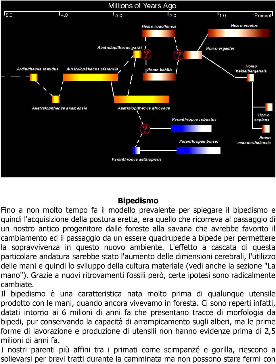 L'effetto a cascata di questa particolare andatura sarebbe stato l'aumento delle dimensioni cerebrali, l'utilizzo delle mani e quindi lo sviluppo della cultura materiale (vedi anche la sezione "La