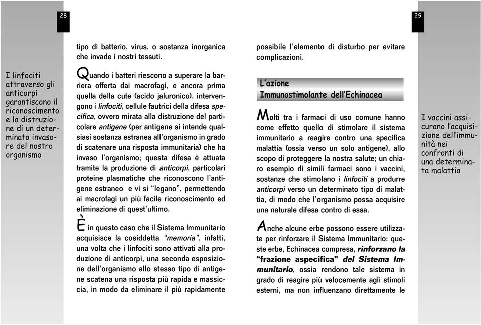 macrofagi, e ancora prima quella della cute (acido jaluronico), intervengono i linfociti, cellule fautrici della difesa specifica, ovvero mirata alla distruzione del particolare antigene (per