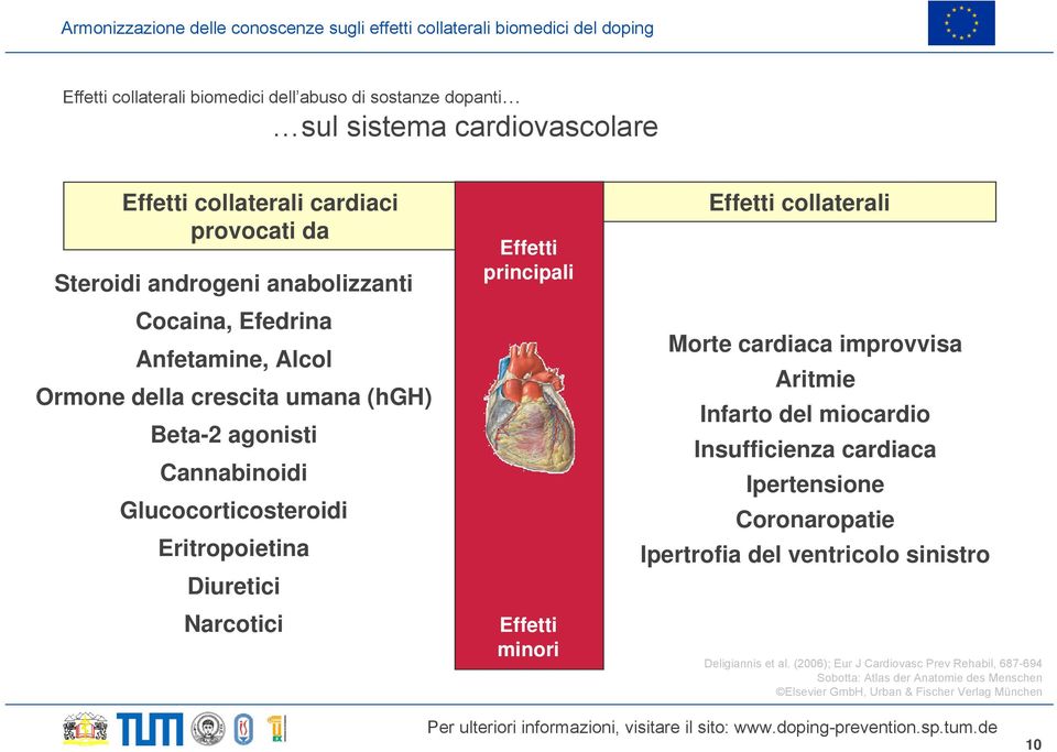 principali Effetti minori Effetti collaterali Morte cardiaca improvvisa Aritmie Infarto del miocardio Insufficienza cardiaca Ipertensione Coronaropatie Ipertrofia del