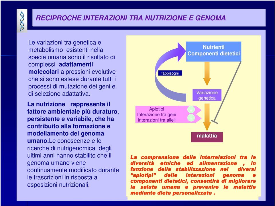 La nutrizione rappresenta il fattore ambientale più duraturo, persistente e variabile, che ha contribuito alla formazione e modellamento del genoma umano.