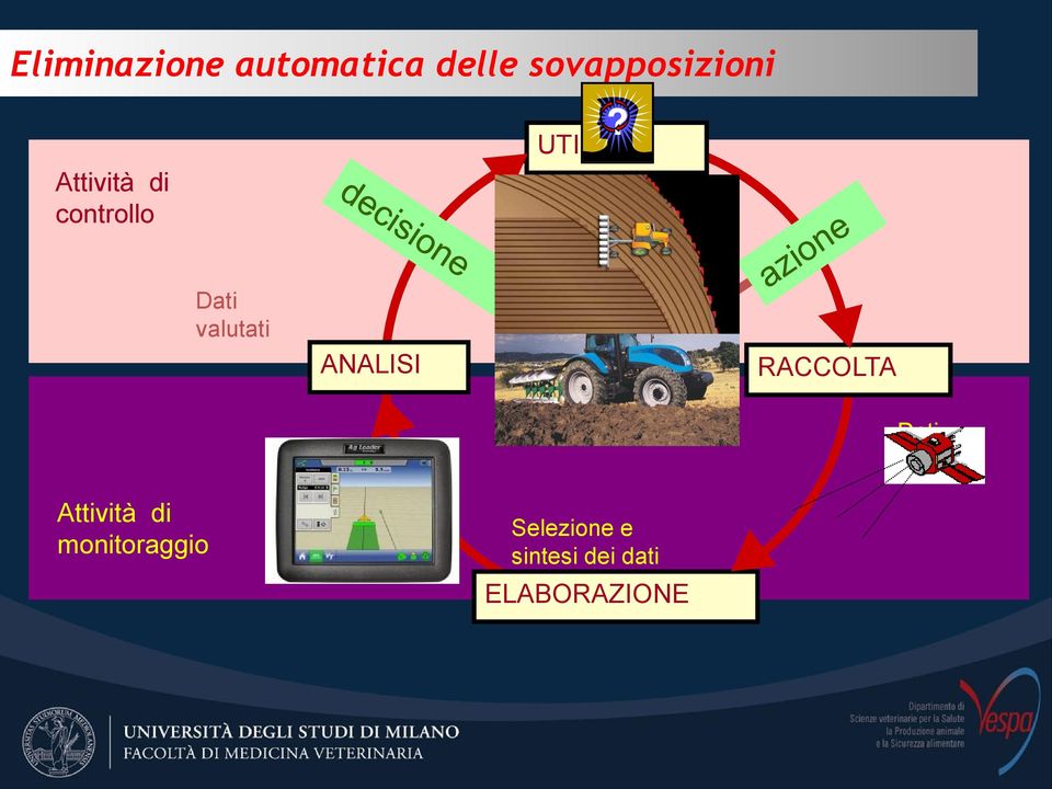 valutati ANALISI RACCOLTA Dati grezzi Attività di