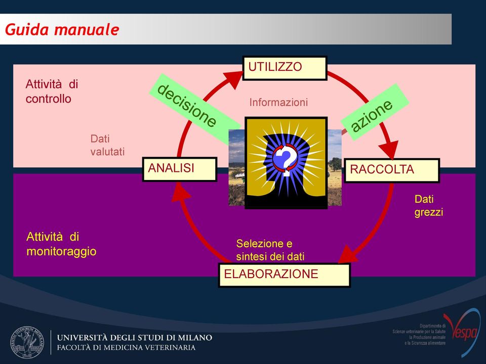 ANALISI RACCOLTA Dati grezzi Attività di