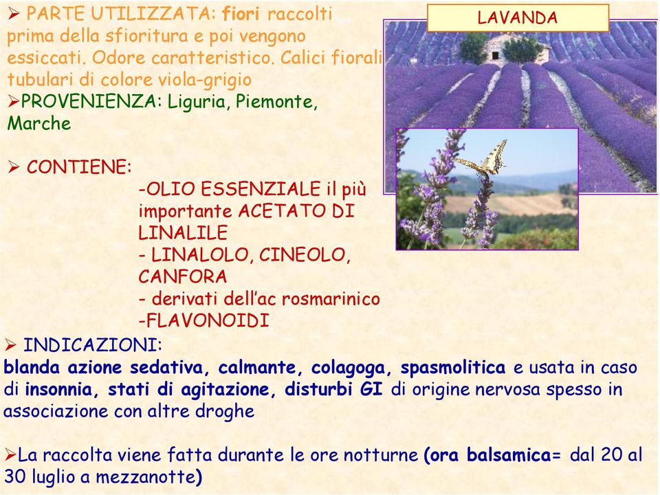 LINALILE - LINALOLO, CINEOLO, CANFORA - derivati dell ac rosmarinico -FLAVONOIDI INDICAZIONI: blanda azione sedativa, calmante, colagoga, spasmolitica e