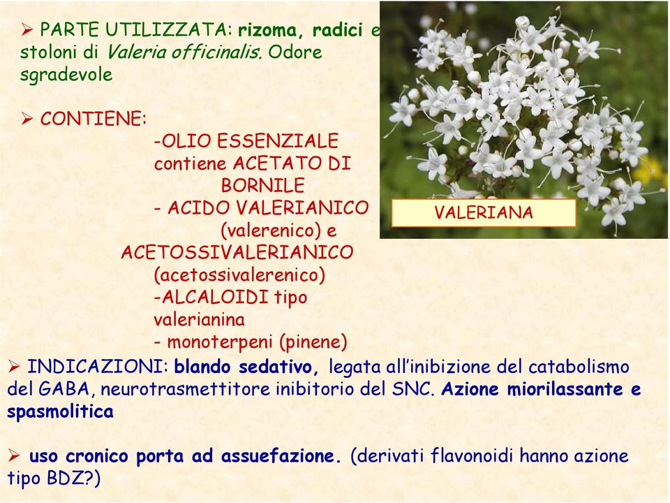 ACETOSSIVALERIANICO (acetossivalerenico) -ALCALOIDI tipo valerianina - monoterpeni (pinene) INDICAZIONI: blando sedativo,