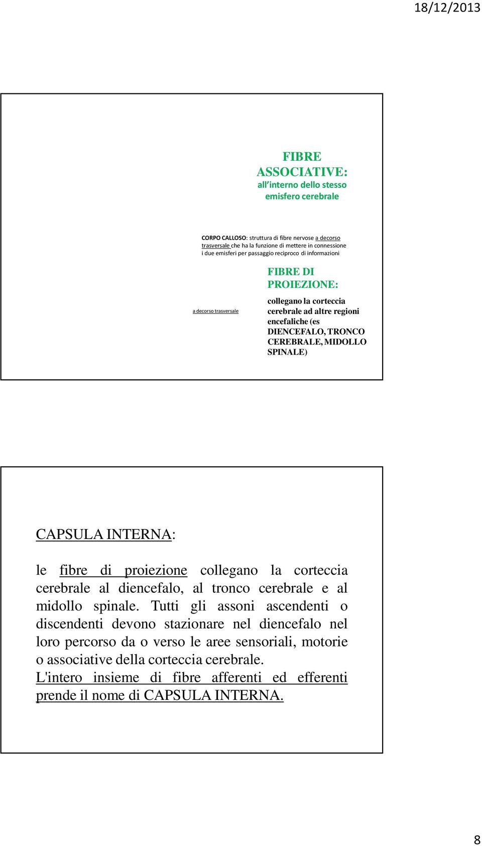 CAPSULA INTERNA: le fibre di proiezione collegano la corteccia cerebrale al diencefalo, al tronco cerebrale e al midollo spinale.
