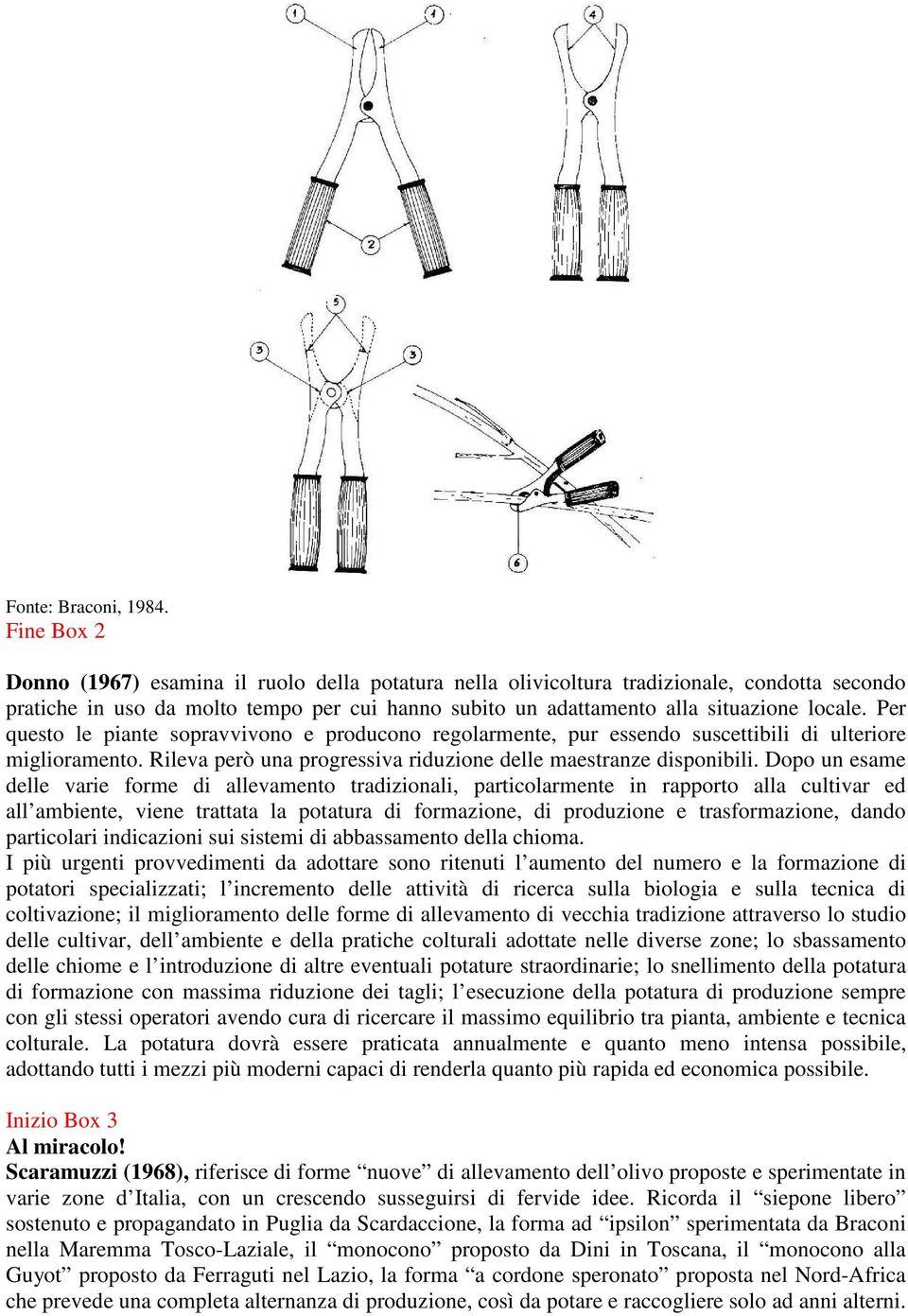 Per questo le piante sopravvivono e producono regolarmente, pur essendo suscettibili di ulteriore miglioramento. Rileva però una progressiva riduzione delle maestranze disponibili.