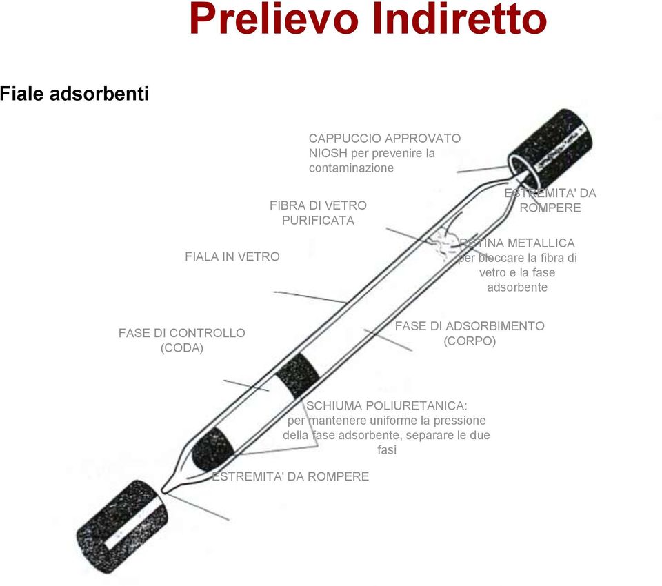 vetro e la fase adsorbente FASE DI CONTROLLO (CODA) FASE DI ADSORBIMENTO (CORPO) SCHIUMA