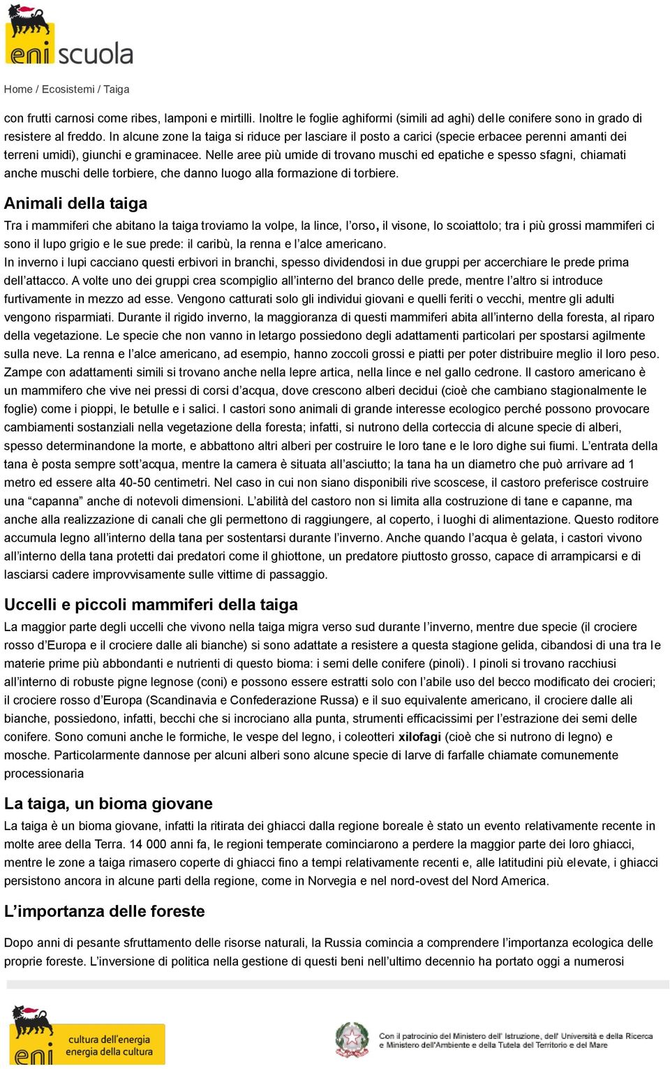 Nelle aree più umide di trovano muschi ed epatiche e spesso sfagni, chiamati anche muschi delle torbiere, che danno luogo alla formazione di torbiere.