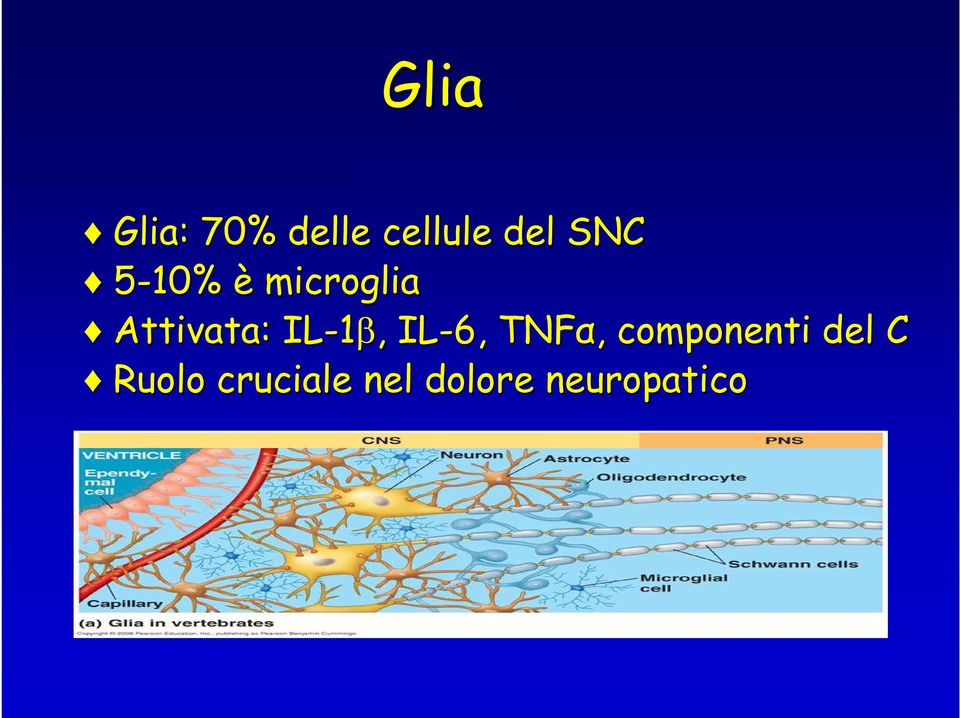 IL-1β,, IL-6, TNFα,, componenti