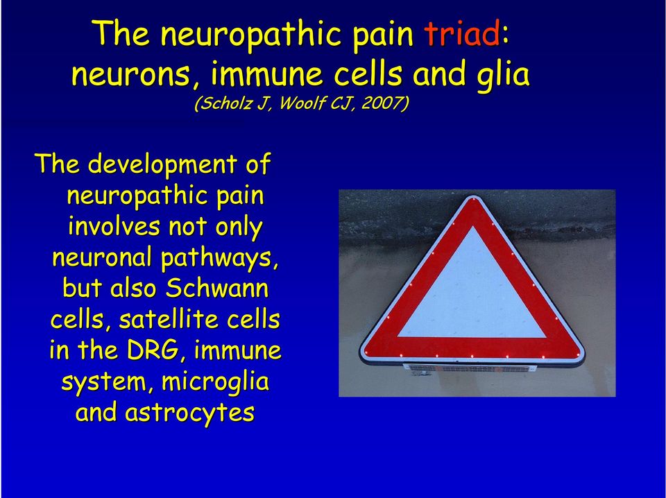 pathways, but also Schwann cells,, satellite cells in the DRG,