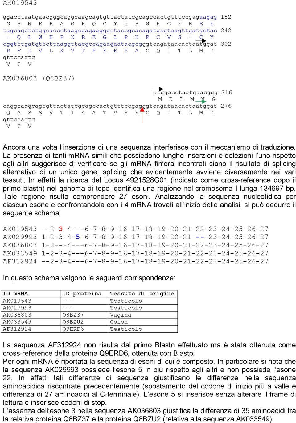 caggcaagcagtgttactatcgcagccactgtttccgagggtcagataacactaatggat 276 Q A S S V T I A A T V S E G Q I T L M D gttccagtg V P V Ancora una volta l inserzione di una sequenza interferisce con il meccanismo