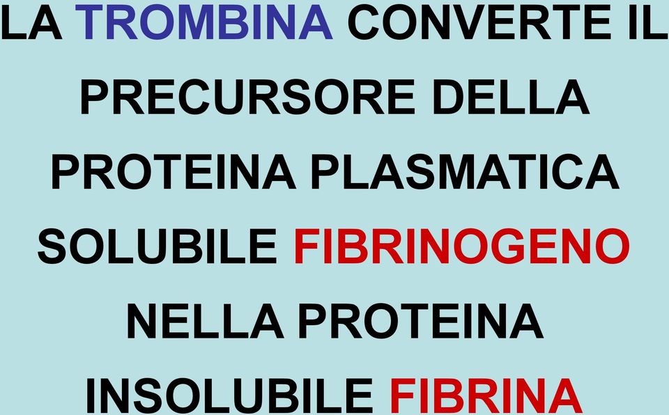 PLASMATICA SOLUBILE