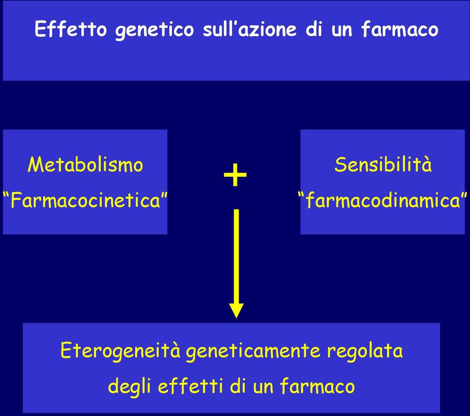 Sensibilità farmacodinamica Eterogeneità