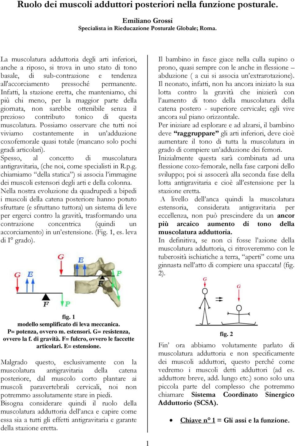 Infatti, la stazione eretta, che manteniamo, chi più chi meno, per la maggior parte della giornata, non sarebbe ottenibile senza il prezioso contributo tonico di questa muscolatura.