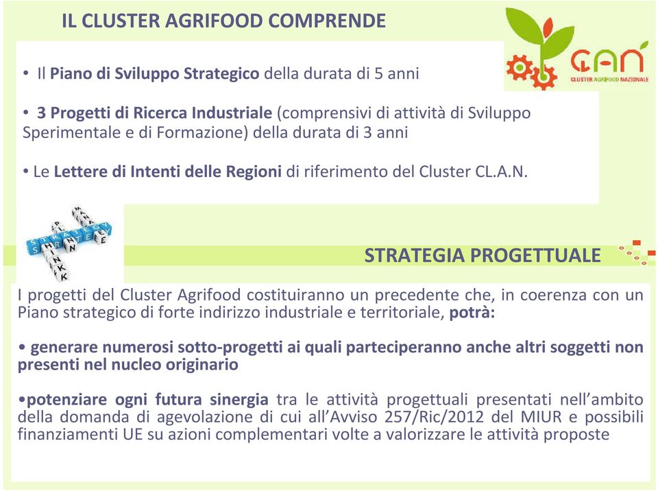 STRATEGIA PROGETTUALE I progetti del Cluster Agrifood costituiranno un precedente che, in coerenza con un Piano strategico di forte indirizzo industriale e territoriale, potrà: generare numerosi