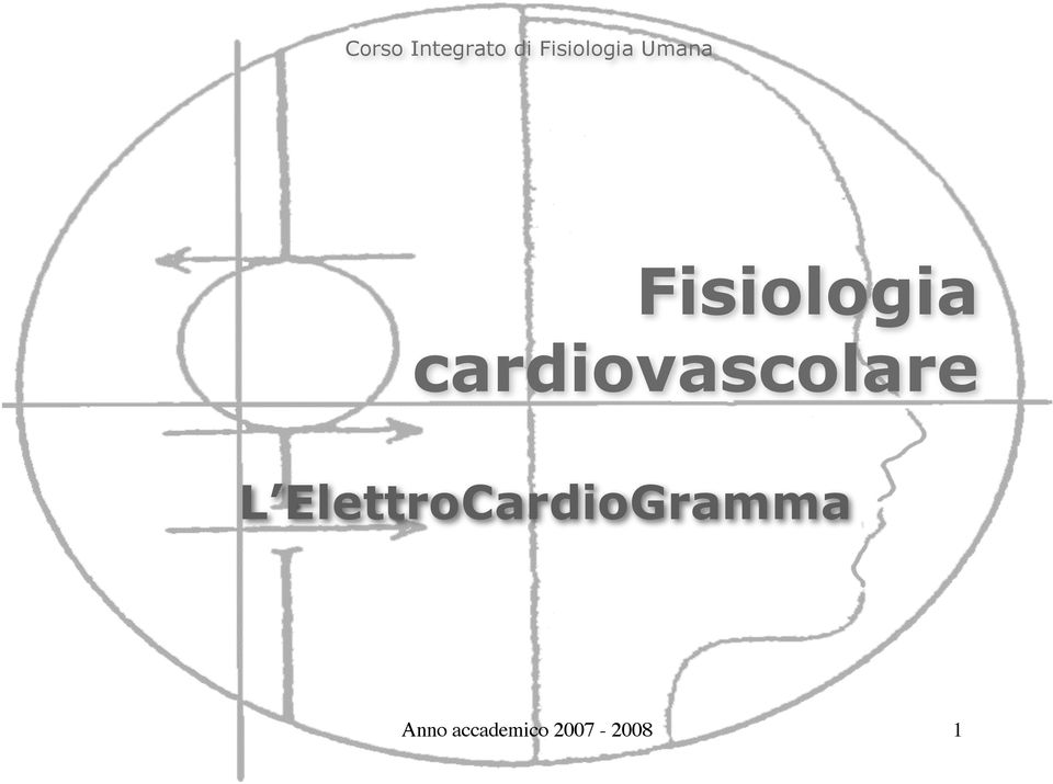 cardiovascolare L