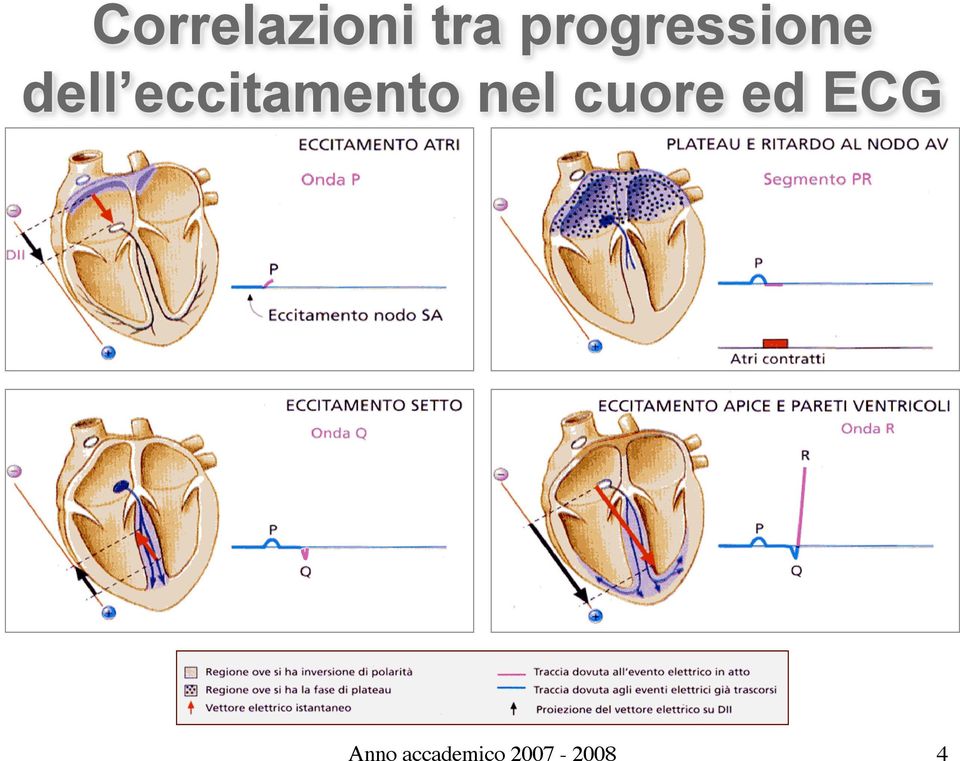 eccitamento eccitamento