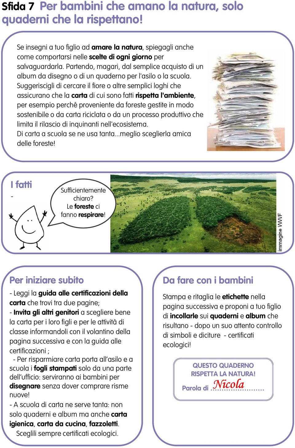 Suggeriscigli di cercare il fiore o altre semplici loghi che assicurano che la carta di cui sono fatti rispetta l'ambiente, per esempio perché proveniente da foreste gestite in modo sostenibile o da