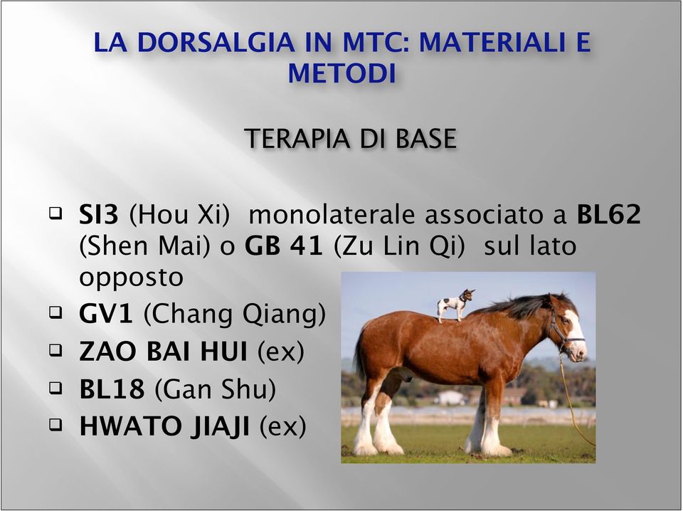 Mai) o GB 41 (Zu Lin Qi) sul lato opposto GV1 (Chang