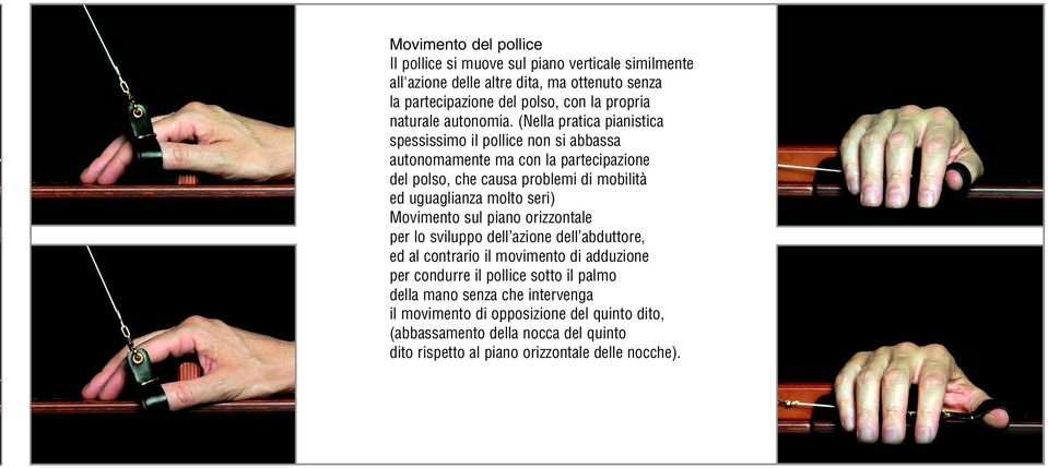 (Nella pratica pianistica spessissimo il pollice non si abbassa autonomamente ma con la partecipazione del polso, che causa problemi di mobilità ed uguaglianza molto