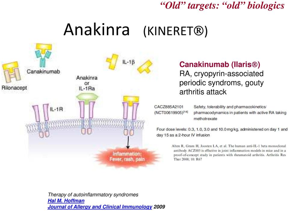 gouty arthritis attack Therapy of autoinflammatory