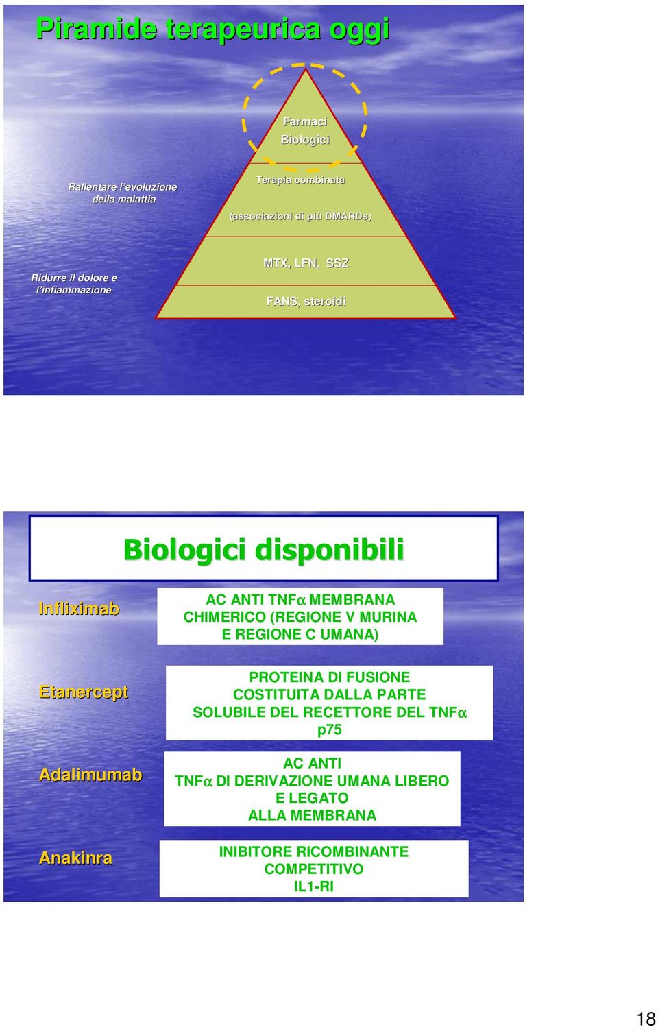 Anakinra AC ANTI TNFα MEMBRANA CHIMERICO (REGIONE V MURINA E REGIONE C UMANA) PROTEINA DI FUSIONE COSTITUITA DALLA PARTE