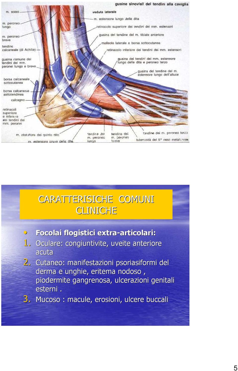 Cutaneo: manifestazioni psoriasiformi del derma e unghie, eritema nodoso,