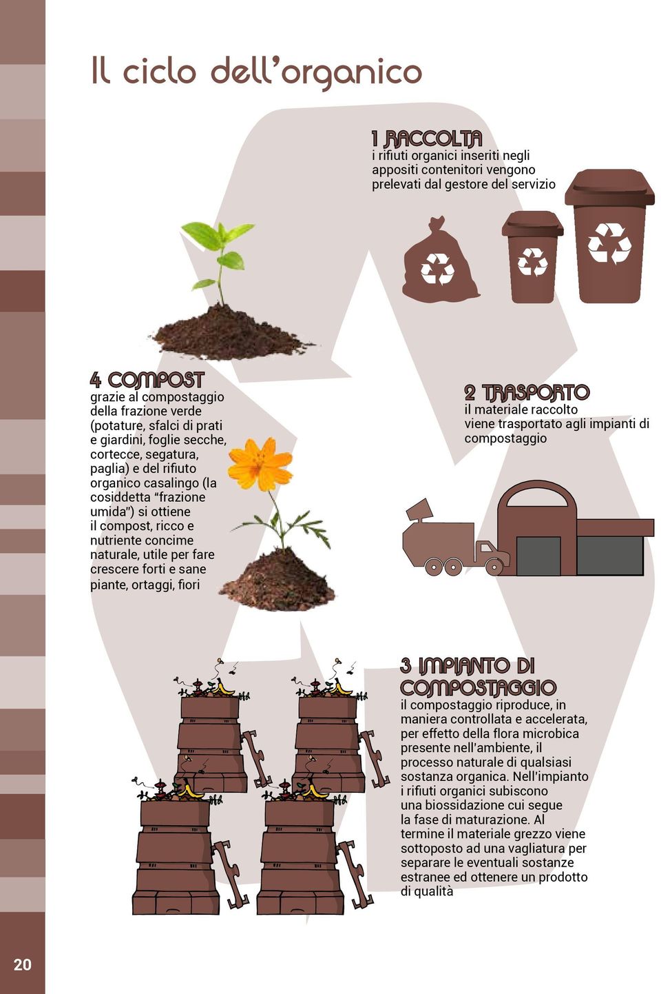 utile per fare crescere forti e sane piante, ortaggi, fiori 2 TRASPORTO il materiale raccolto viene trasportato agli impianti di compostaggio 3 IMPIANTO DI COMPOSTAGGIO il compostaggio riproduce, in