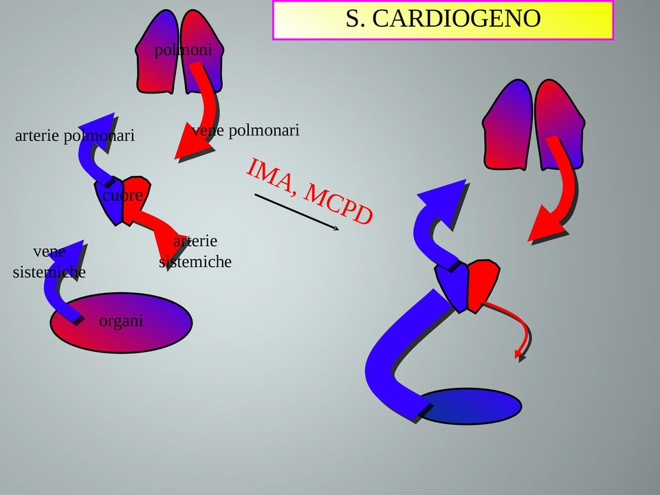 polmonari IMA,M CPD