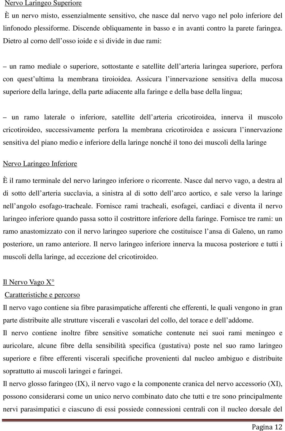 Dietro al corno dell osso ioide e si divide in due rami: un ramo mediale o superiore, sottostante e satellite dell arteria laringea superiore, perfora con quest ultima la membrana tiroioidea.