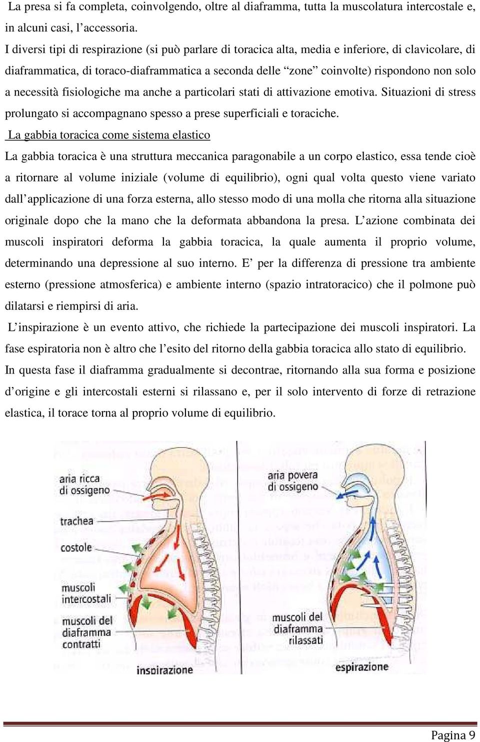 necessità fisiologiche ma anche a particolari stati di attivazione emotiva. Situazioni di stress prolungato si accompagnano spesso a prese superficiali e toraciche.