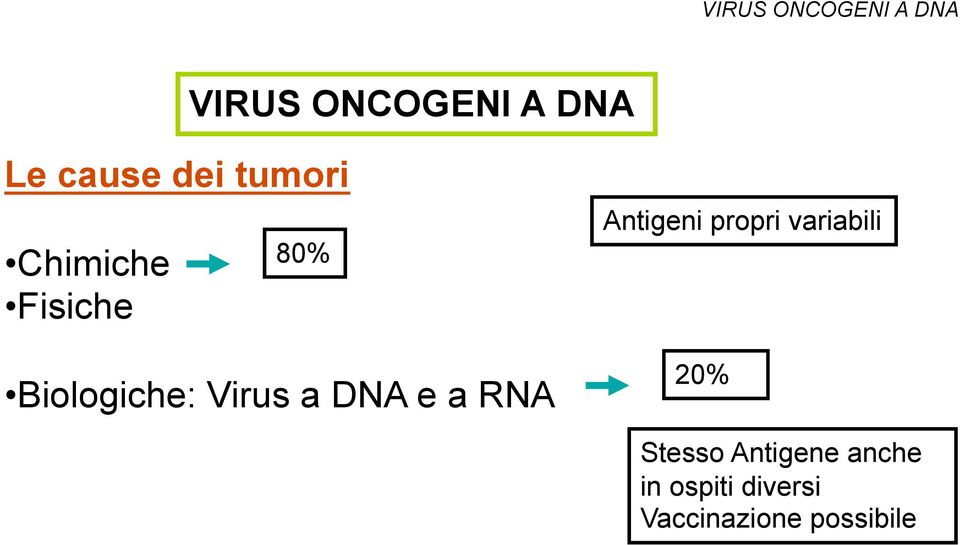 Biologiche: Virus a DNA e a RNA Antigeni propri
