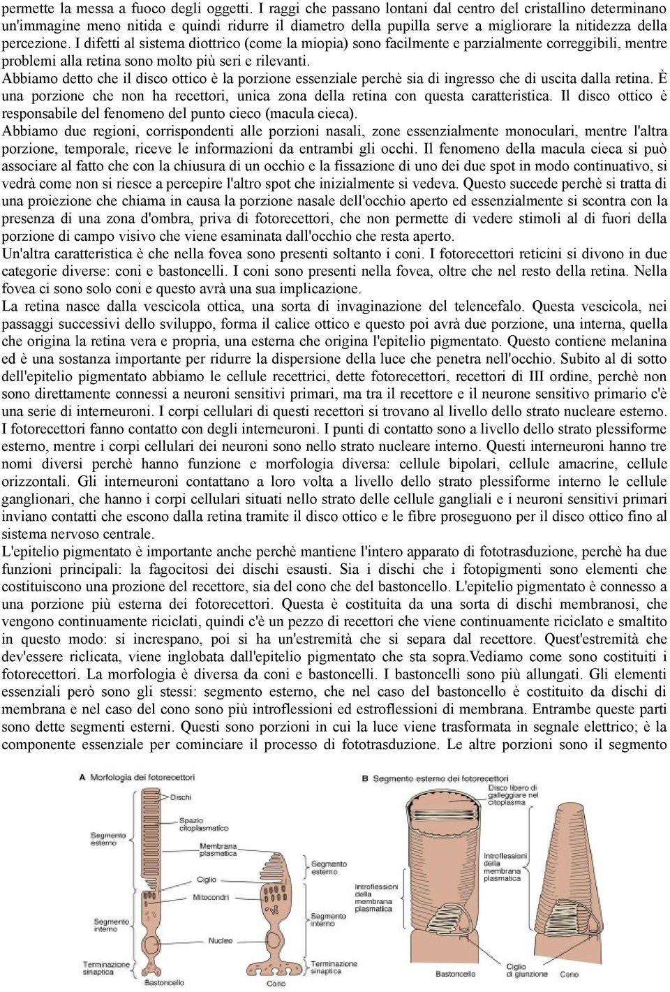 I difetti al sistema diottrico (come la miopia) sono facilmente e parzialmente correggibili, mentre problemi alla retina sono molto più seri e rilevanti.