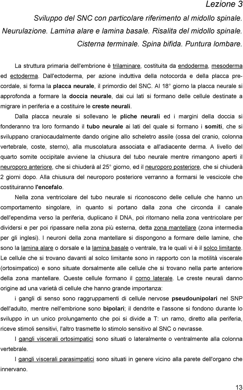 Dall'ectoderma, per azione induttiva della notocorda e della placca precordale, si forma la placca neurale, il primordio del SNC.