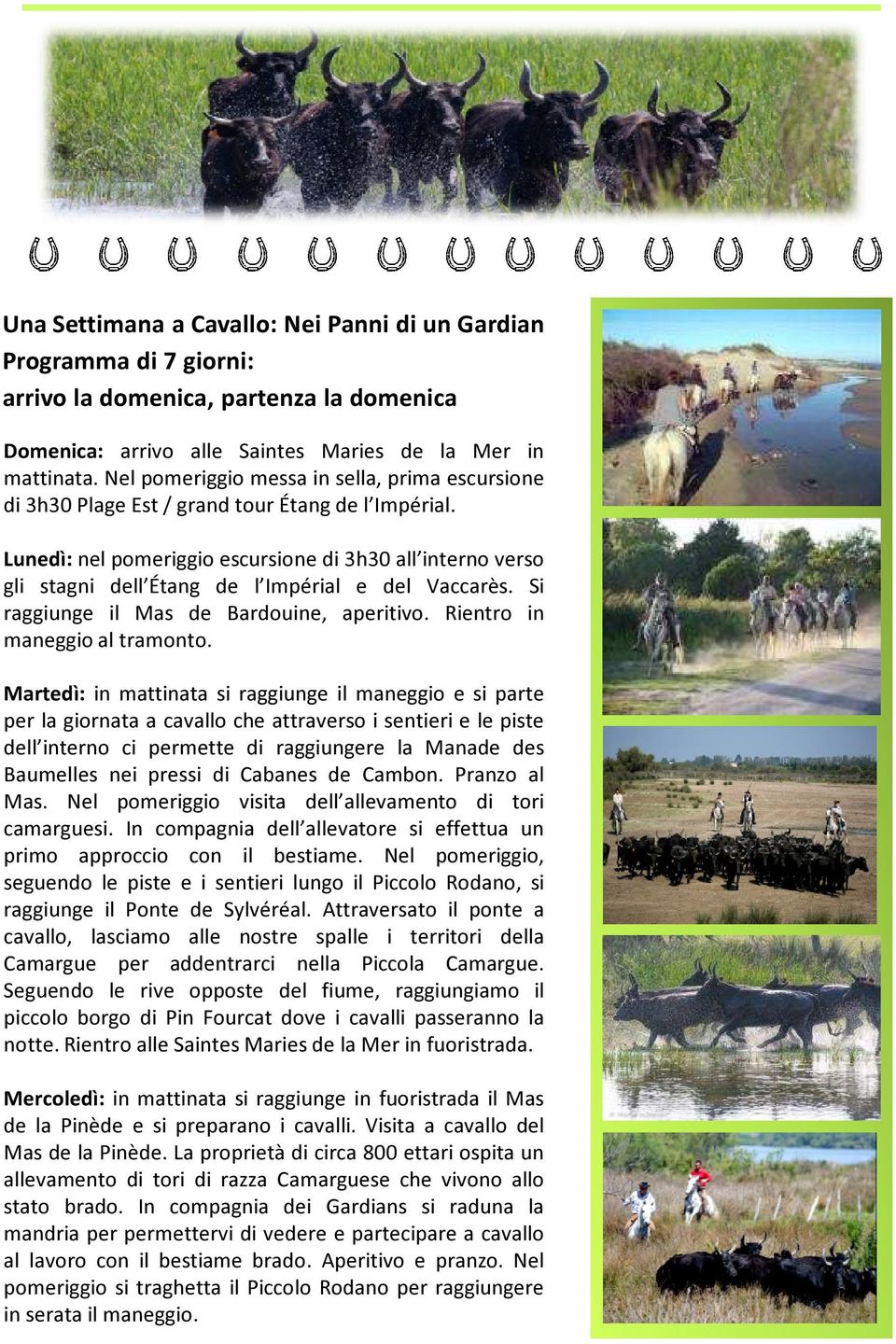 Lunedì: nel pomeriggio escursione di 3h30 all interno verso gli stagni dell Étang de l Impérial e del Vaccarès. Si raggiunge il Mas de Bardouine, aperitivo. Rientro in maneggio al tramonto.