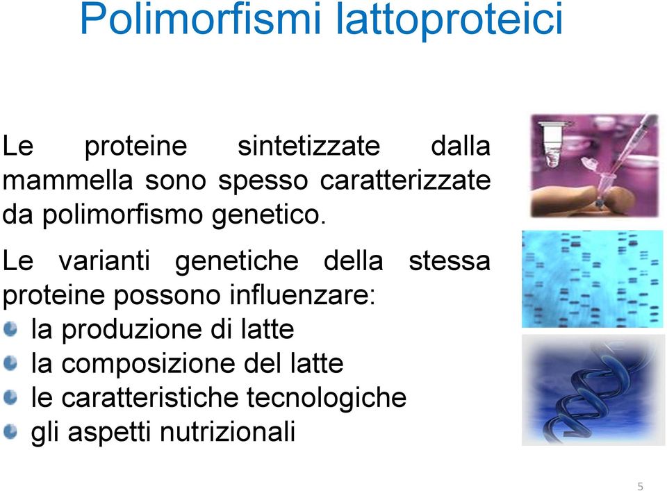 Le varianti genetiche della stessa proteine possono influenzare: la