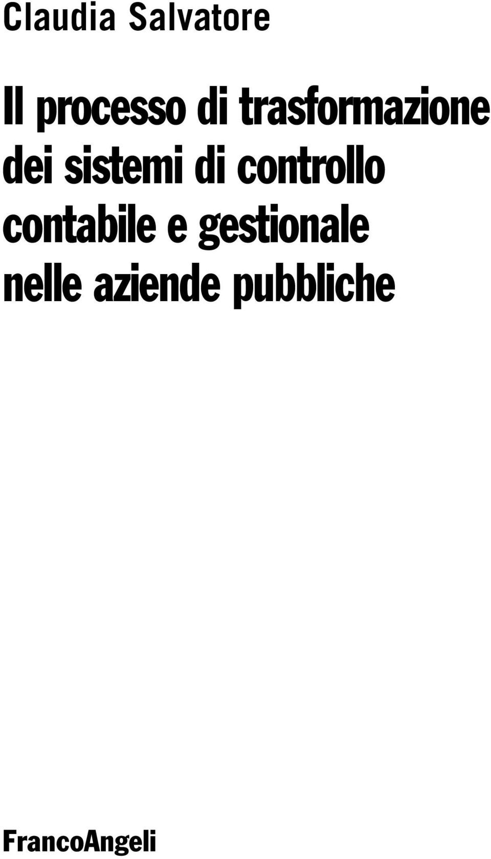 controllo contabile e gestionale