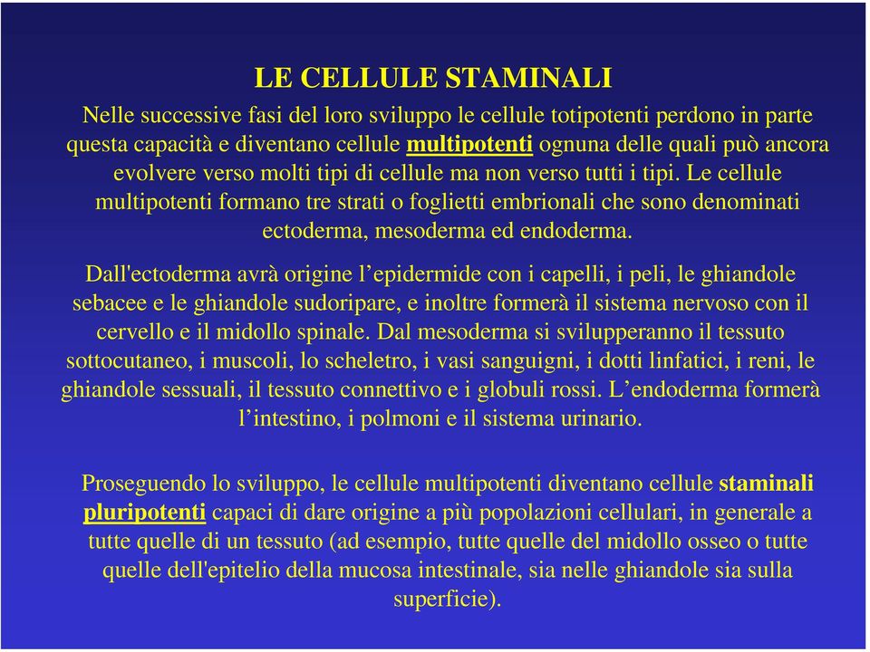 Dall'ectoderma avrà origine l epidermide con i capelli, i peli, le ghiandole sebacee e le ghiandole sudoripare, e inoltre formerà il sistema nervoso con il cervello e il midollo spinale.