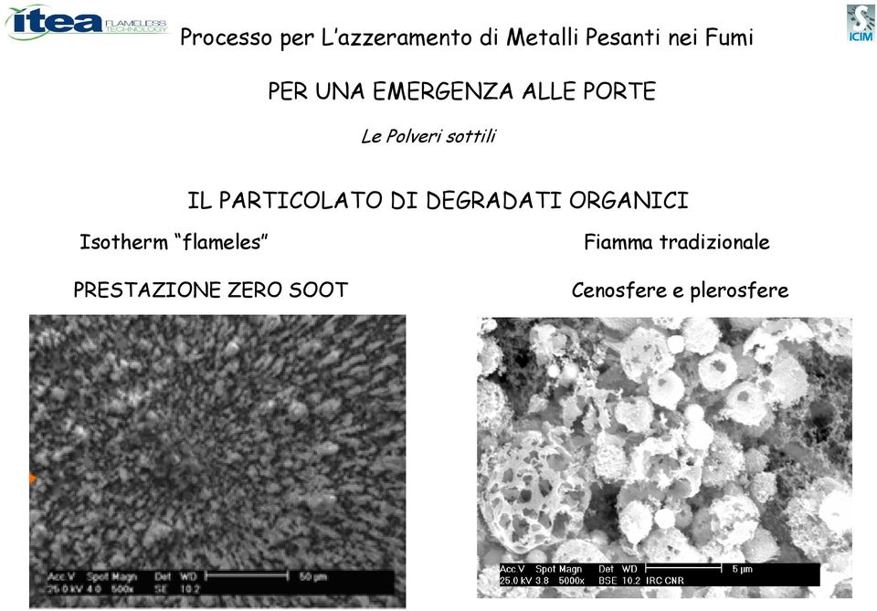 PARTICOLATO DI DEGRADATI ORGANICI Isotherm flameles