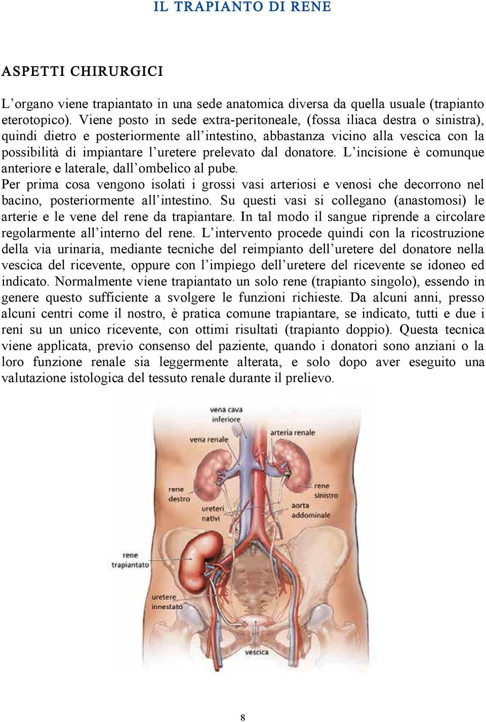 donatore. L incisione è comunque anteriore e laterale, dall ombelico al pube. Per prima cosa vengono isolati i grossi vasi arteriosi e venosi che decorrono nel bacino, posteriormente all intestino.