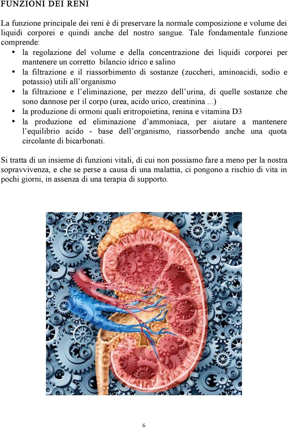 sostanze (zuccheri, aminoaci, soo e potassio) utili all organismo la filtrazione e l eliminazione, per mezzo dell urina, quelle sostanze che sono dannose per il corpo (urea, acido urico, creatinina.