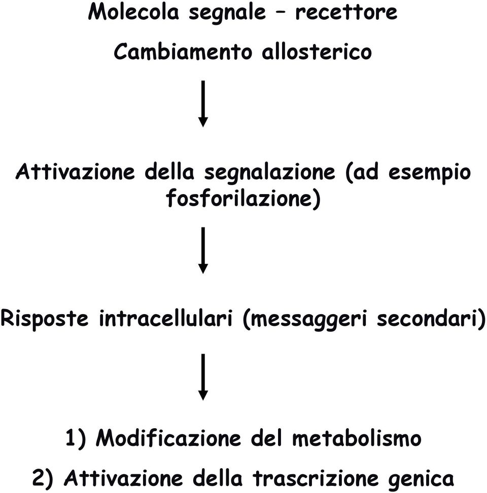 fosforilazione) Risposte intracellulari (messaggeri