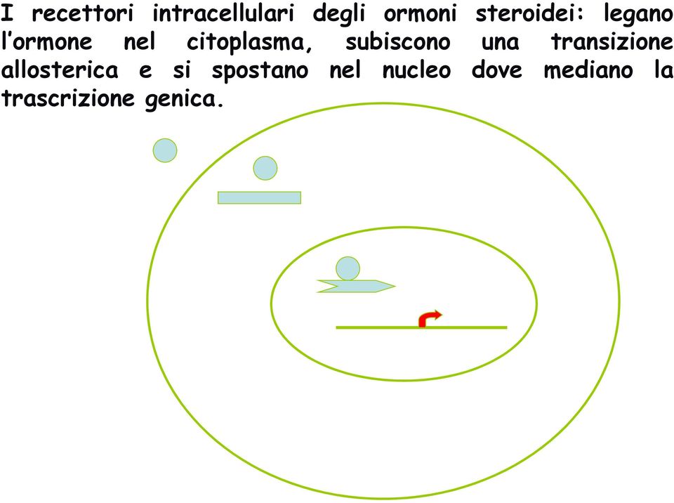 subiscono una transizione allosterica e si